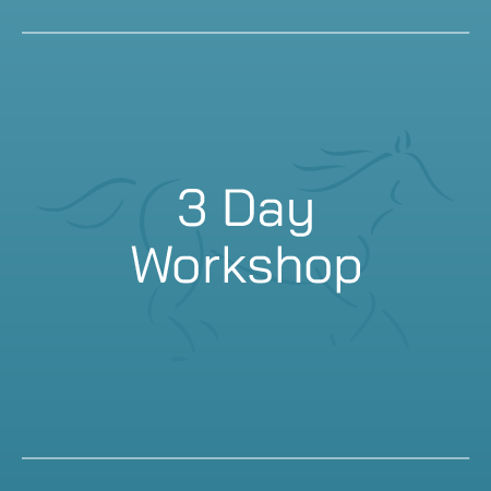 3 Day Workshop