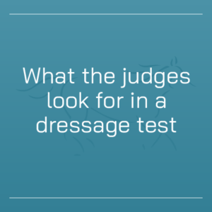 What the judges look for in a dressage test