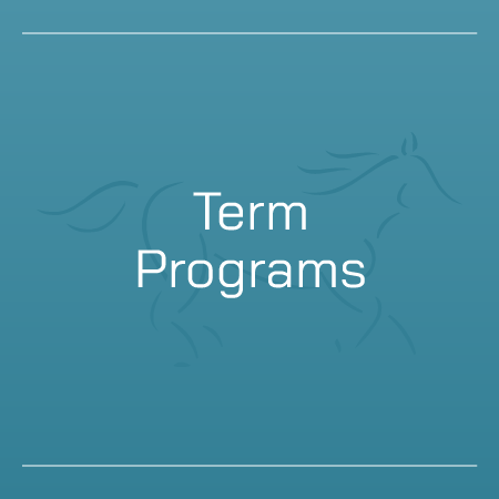 Term Programs